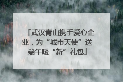 武汉青山携手爱心企业，为“城市天使”送端午暖“新”礼包