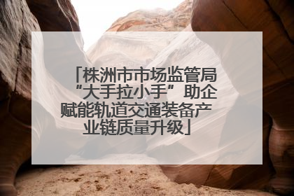 株洲市市场监管局“大手拉小手”助企赋能轨道交通装备产业链质量升级