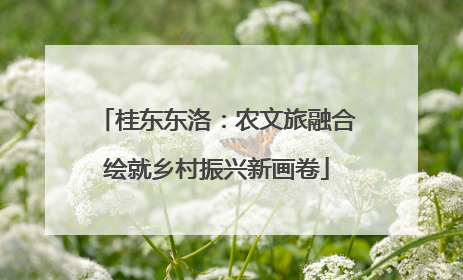 桂东东洛：农文旅融合绘就乡村振兴新画卷