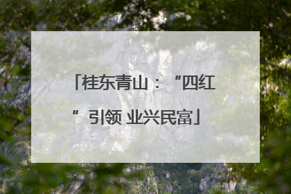 桂东青山：“四红”引领 业兴民富