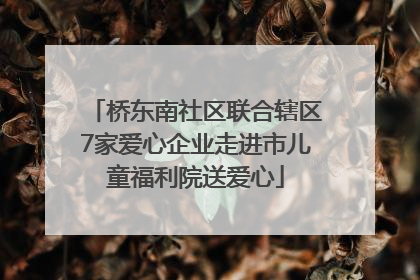桥东南社区联合辖区7家爱心企业走进市儿童福利院送爱心