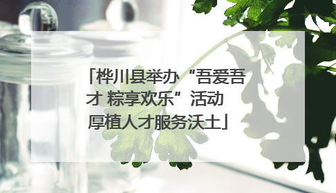桦川县举办“吾爱吾才 粽享欢乐”活动 厚植人才服务沃土