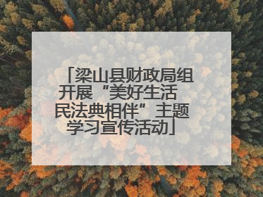 梁山县财政局组开展“美好生活 民法典相伴”主题学习宣传活动