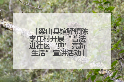梁山县馆驿镇陈李庄村开展“普法进社区‘典’亮新生活”宣讲活动