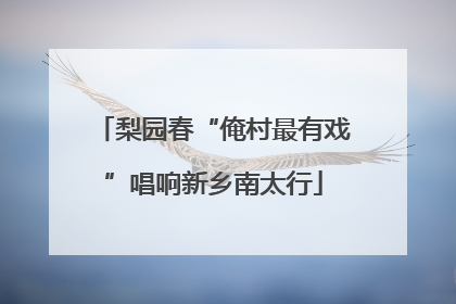 梨园春“俺村最有戏”唱响新乡南太行