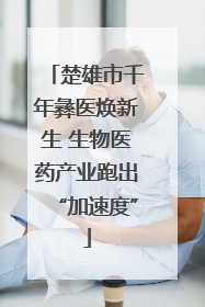 楚雄市千年彝医焕新生 生物医药产业跑出“加速度”