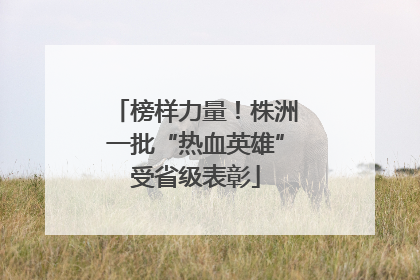 榜样力量！株洲一批“热血英雄”受省级表彰