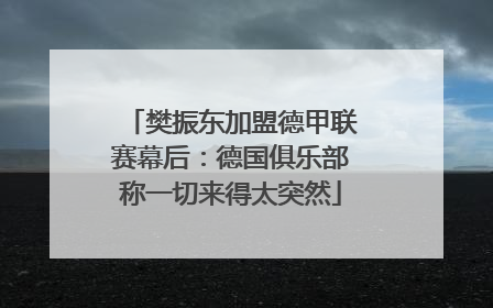 樊振东加盟德甲联赛幕后：德国俱乐部称一切来得太突然