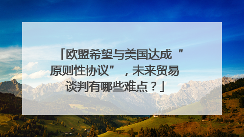 欧盟希望与美国达成“原则性协议”，未来贸易谈判有哪些难点？
