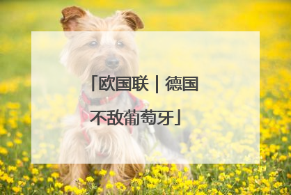 欧国联｜德国不敌葡萄牙