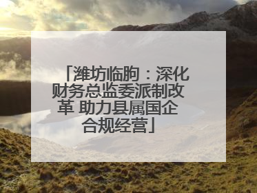 潍坊临朐：深化财务总监委派制改革 助力县属国企合规经营