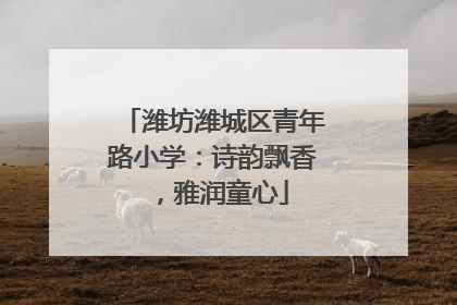 潍坊潍城区青年路小学：诗韵飘香，雅润童心