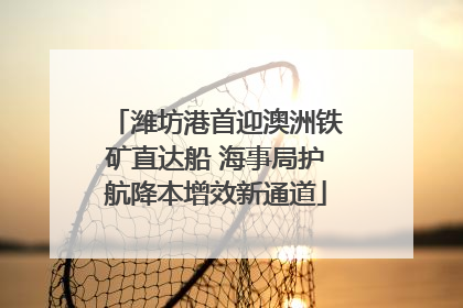 潍坊港首迎澳洲铁矿直达船 海事局护航降本增效新通道