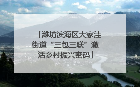 潍坊滨海区大家洼街道“三包三联”激活乡村振兴密码