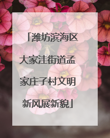 潍坊滨海区大家洼街道孟家庄子村文明新风展新貌