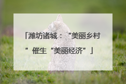 潍坊诸城：“美丽乡村”催生“美丽经济”