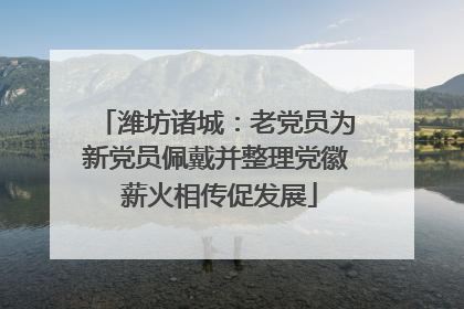 潍坊诸城：老党员为新党员佩戴并整理党徽 薪火相传促发展