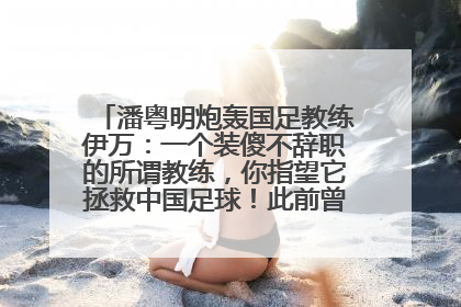 潘粤明炮轰国足教练伊万：一个装傻不辞职的所谓教练，你指望它拯救中国足球！此前曾多次发文评价国足
