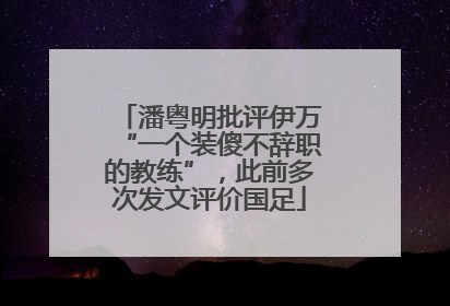 潘粤明批评伊万“一个装傻不辞职的教练”，此前多次发文评价国足