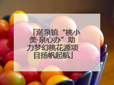 潮泉镇“桃小美·泉心办”助力梦幻桃花源项目扬帆起航