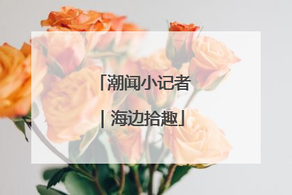 潮闻小记者｜海边拾趣