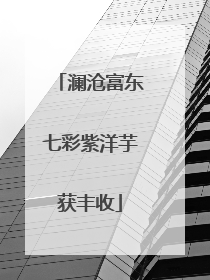 澜沧富东七彩紫洋芋获丰收
