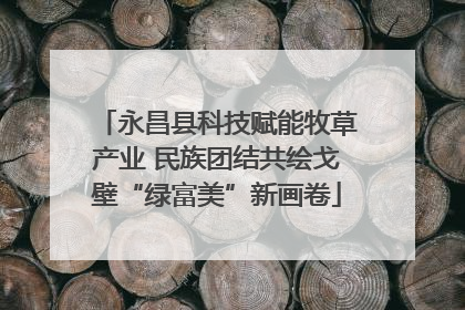 永昌县科技赋能牧草产业 民族团结共绘戈壁“绿富美”新画卷