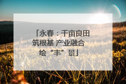 永春：千亩良田筑根基 产业融合绘“丰”景