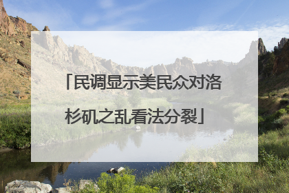 民调显示美民众对洛杉矶之乱看法分裂
