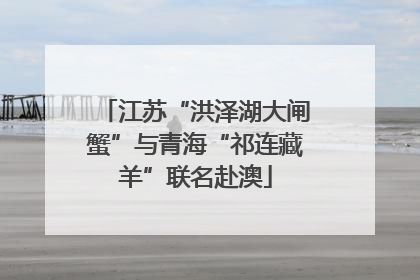 江苏“洪泽湖大闸蟹”与青海“祁连藏羊”联名赴澳