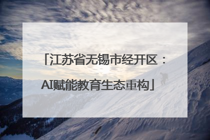 江苏省无锡市经开区：AI赋能教育生态重构