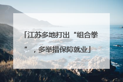 江苏多地打出“组合拳”，多举措保障就业