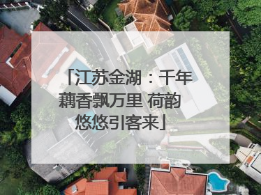 江苏金湖：千年藕香飘万里 荷韵悠悠引客来