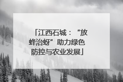 江西石城：“放蜂治蚜”助力绿色防控与农业发展