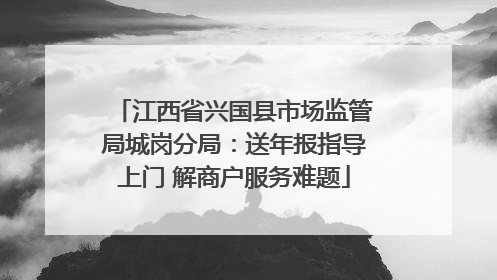 江西省兴国县市场监管局城岗分局：送年报指导上门 解商户服务难题