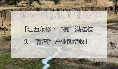 江西永修：“桃”满挂枝头 “甜蜜”产业助增收