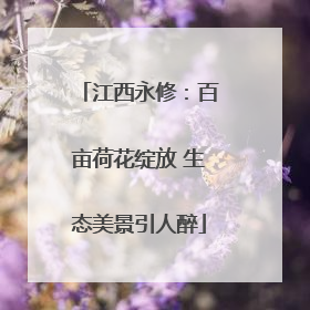 江西永修：百亩荷花绽放 生态美景引人醉