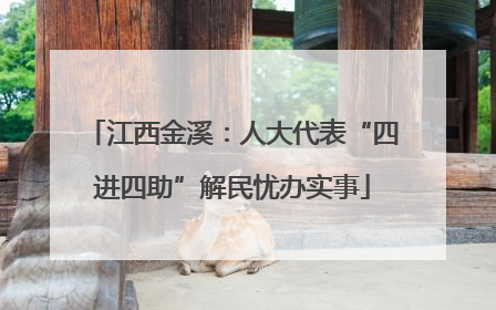 江西金溪：人大代表“四进四助”解民忧办实事