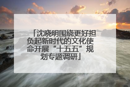 沈晓明围绕更好担负起新时代的文化使命开展“十五五”规划专题调研
