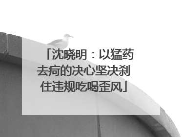 沈晓明：以猛药去疴的决心坚决刹住违规吃喝歪风