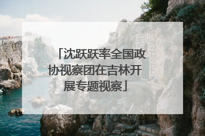 沈跃跃率全国政协视察团在吉林开展专题视察