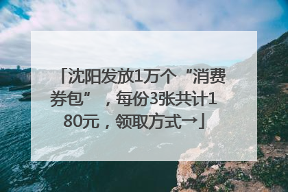 沈阳发放1万个“消费券包”，每份3张共计180元，领取方式→