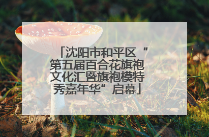 沈阳市和平区“第五届百合花旗袍文化汇暨旗袍模特秀嘉年华”启幕