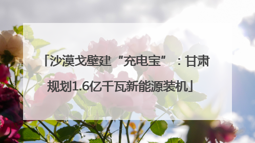 沙漠戈壁建“充电宝”：甘肃规划1.6亿千瓦新能源装机