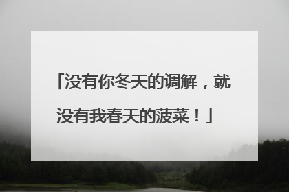 没有你冬天的调解，就没有我春天的菠菜！