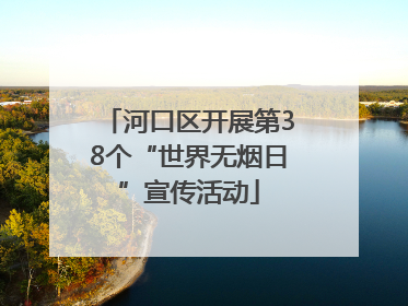 河口区开展第38个“世界无烟日”宣传活动
