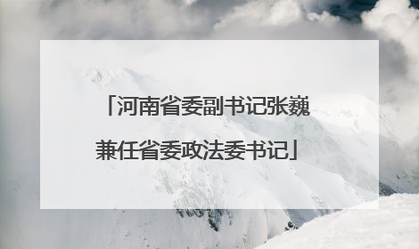 河南省委副书记张巍兼任省委政法委书记