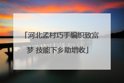河北孟村巧手编织致富梦 技能下乡助增收