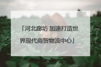 河北廊坊 加速打造世界现代商贸物流中心