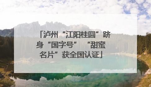 泸州“江阳桂圆”跻身“国字号” “甜蜜名片”获全国认证